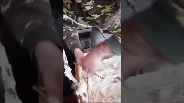 Замена Испарителя смотреть онлайн