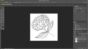 How to Change the Color of Line Art on Photoshop