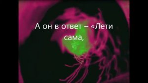 Рок-Острова / Захаров Владимир ‒ Лебеди