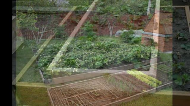 Грядки под клубнику. Вертикальные грядки для клубники своими руками смотреть онлайн