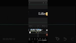 Как наложить футаж в приложении CapCut