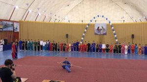 Ушу. Дети. Показательное выступление. Гран-При "Белые ночи". Санкт-Петербург 2016.