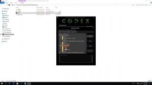 How to install game crack (codex)