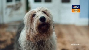 Dulux Ultra Resist “Стены готовы к сюрпризам!"