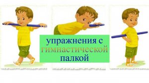 Комплекс упражнений с гимнастической палкой. - Гимнастические упражнения.