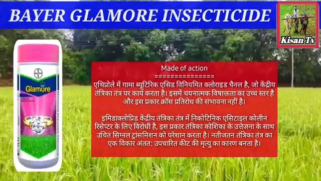 BAYER Glamore Insecticide | Ethiprole-40% + Imidacloprid-40%wg| Glamore Insecticide price dose work смотреть онлайн