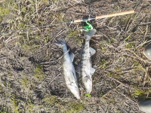 Судак в апреле 2024