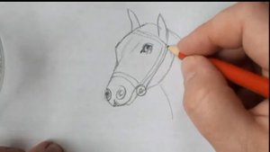 Как нарисовать голову лошади, легко и просто
