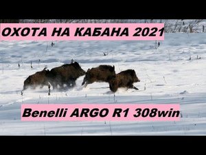ОХОТА НА КАБАНА 2021, МАТЕРЫЙ КАБАН. КАРАБИН BENELLI ARGO R1 308WIN. BENELLI ARGO  2011г.выпуска