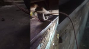 Мерседес замена сайлентблоков просто