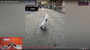 МАНУРИН ПЕРЕЕЗЖАЕТ В ДУБАЙ