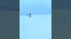 Я желаю тебе брат