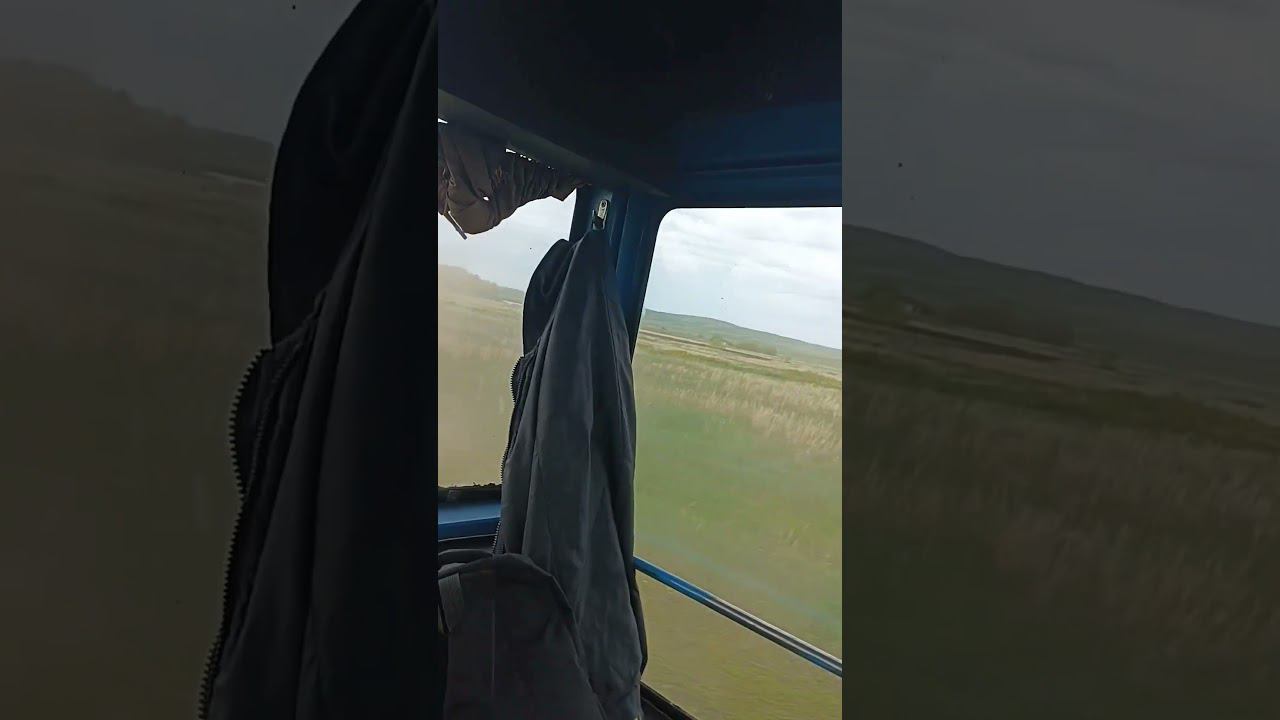 15 мая 2024 г. смотреть онлайн