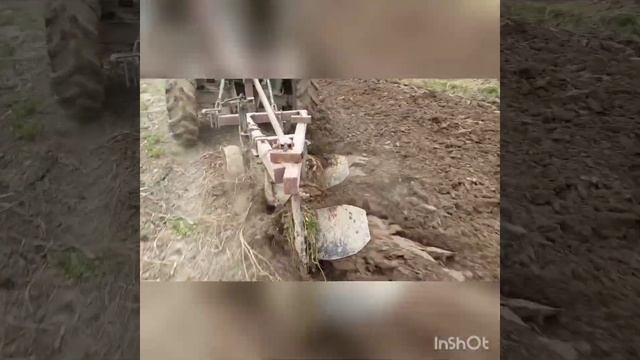 DW оре смотреть онлайн