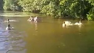 купание на озере