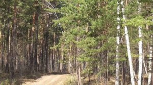 Исцеление от эпилепсии Сытин Г.Н. (без муз.)