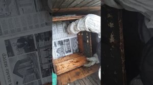 Присоединение отводка к основной семье пчел