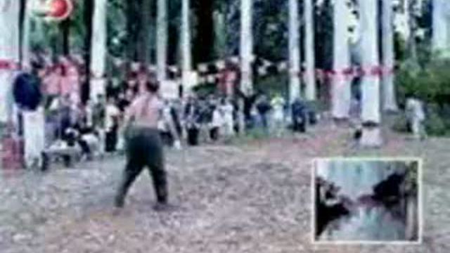 Приколы смотреть онлайн