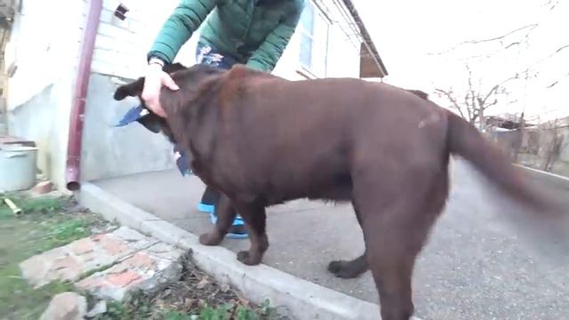 В гостях у Ирины, нашей подписчицы #7ЯКолесниковы
