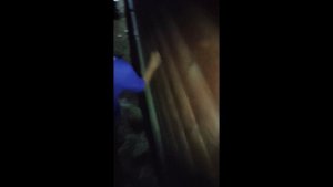 пробирается в дом в Карелии