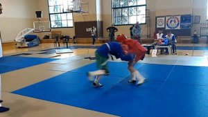 Bushinkan Jiu Jitsu -- Combat Sambo 25/03/2016