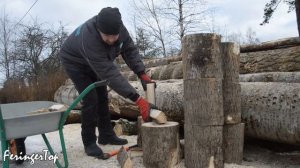 ПРАВИЛЬНАЯ заготовка дров начинается с ПРАВИЛЬНОГО времени года!