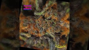 психоделический Трип GIFER 3D ( смотреть не отрывая взгляд )