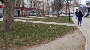 северная сторона площадь Захарова в Севастополе