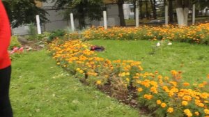 Экскурсия по территории школьного сада