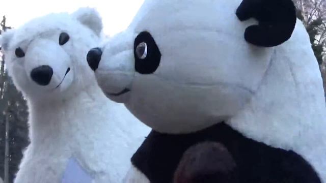 Панда и Медведь танцуют - Panda and Bear dancing