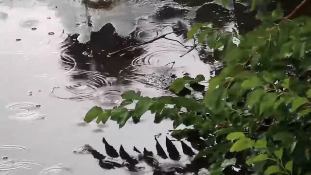 Relax to the sound of rain | Релаксация под звуки дождя смотреть онлайн