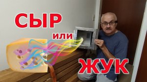 Излучение против жука. Испытание действия микроволновки на белок