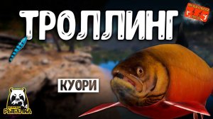 РР4/ рыбалка для души, ловим как универсал, общаемся 13.11.23