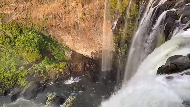 Live: Waterfall from Mel Gibson's "Apocalypto" - Eyipantla Falls - Mexico смотреть онлайн