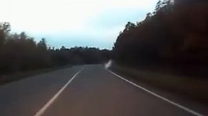 кабан атакует машину