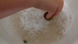 ԹԶԻ ՄՈՒՐԱԲԱ/tzi muraba/#muraba/#tuz