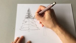 Как нарисовать дерево. Рисуем деревья простым карандашом. Часть 1.