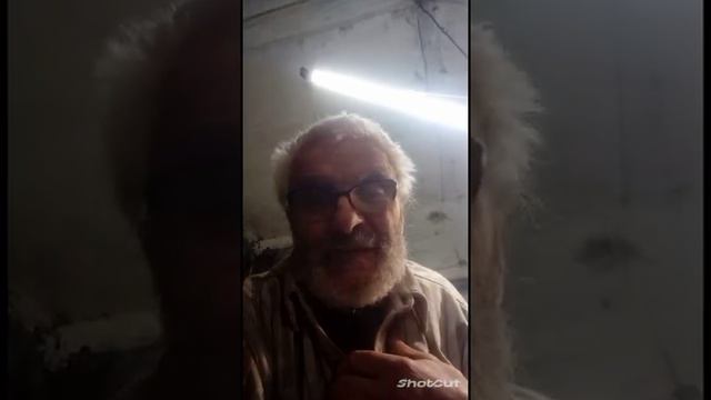 бог, если ты есть, убей меня за две минуты, иначе ты бред и тебя нет. смотреть онлайн