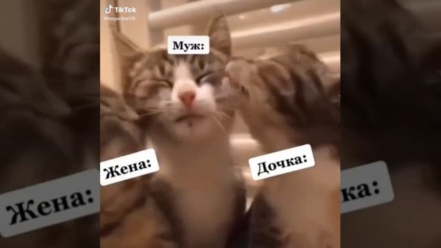 смех видео 73. 2023