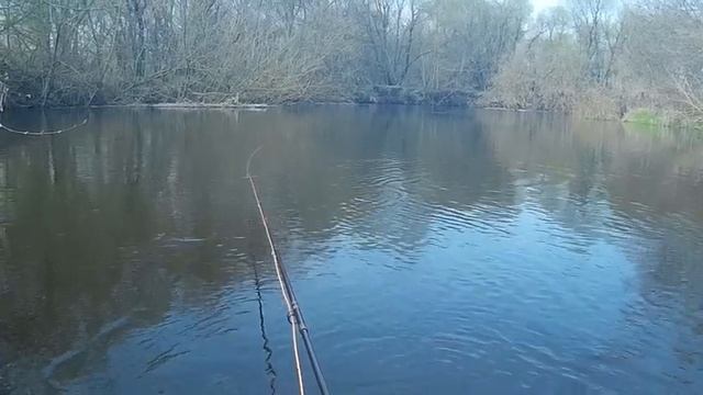 Рыбачим нахлыстом уклейка смотреть онлайн