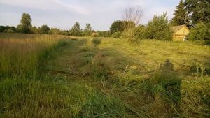 ПОКОС ТРАВЫ/СЕНА,ЧЕМ КОСИТЬ,ЛИЧНЫЙ ОПЫТ ИЗ ДЕРЕВНИ