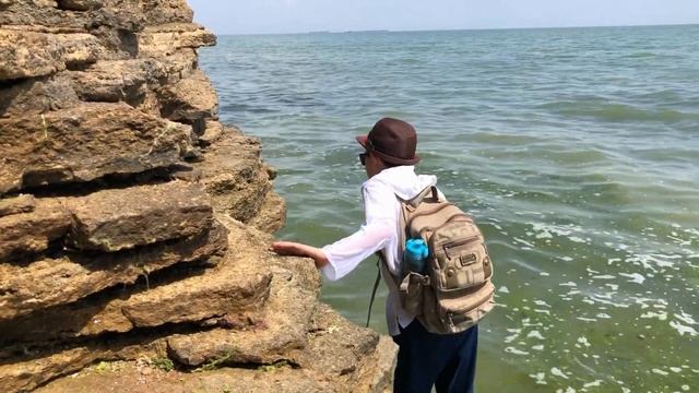 Невероятно! Очень дикие пляжи Одесской области смотреть онлайн