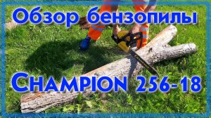 Бензопила Champion 256 -18 обзор и испытание