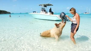 "В отрыв", тревел-шоу на Russian Extreme TV, Багамские острова. |16+