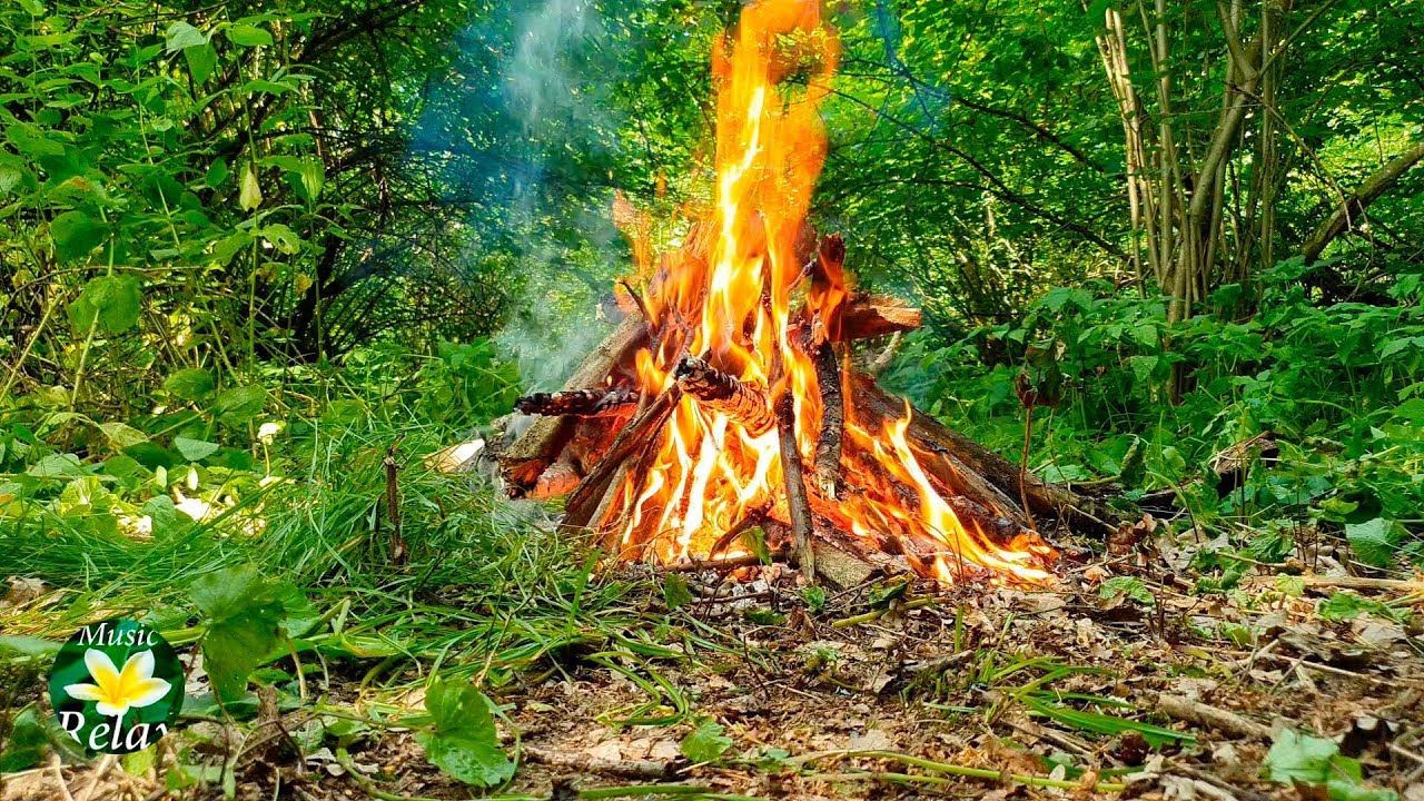 Включи звук костра. Звук костра. Звуки природы костер. Релакс костер на природе. Звук костра в лесу.