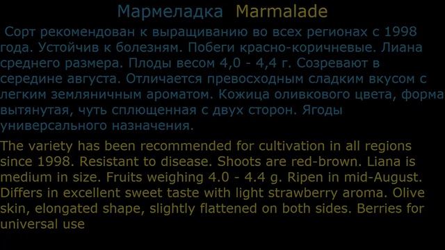 #Актинидии4 Декоративные #лианы10 #многолетники Декоративные растения смотреть онлайн