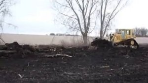 БУЛЬДОЗЕР CAT D6 в работе