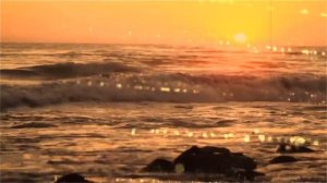 Dire Straits - Planet Of New Orleans.  VIDEO HD