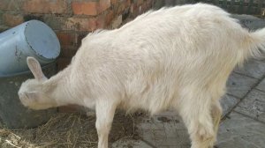 Весь день работа на улице. Замечательная погода. Меня не остановить.