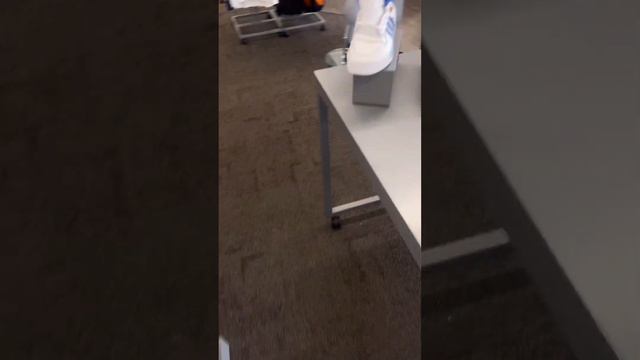 AIR JORDAN 3 “REIMAGINED” WHITE CEMENT - HIBBET SPORTS / CITY GEAR PICKUP VLOG смотреть онлайн